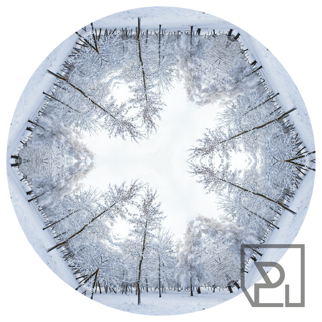 seasonal kaleidoscope winter